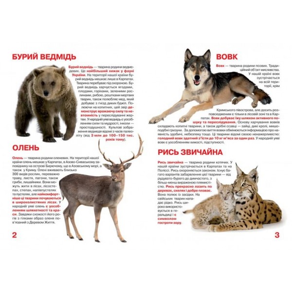Велика книжка. Тваринний світ України (українською мовою)