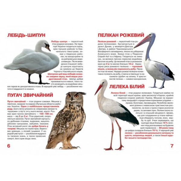 Велика книжка. Тваринний світ України (українською мовою)