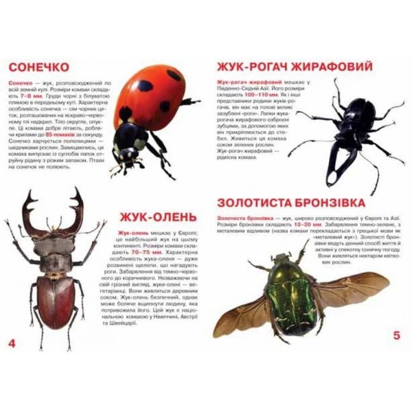 Велика книжка. Жуки (українською мовою)
