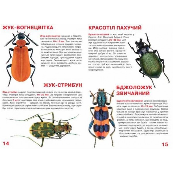 Велика книжка. Жуки (українською мовою)