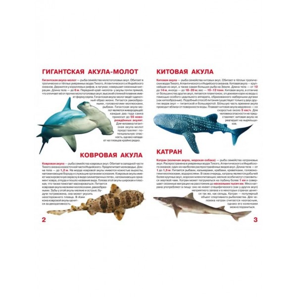 Велика книга. Акули (російською мовою)