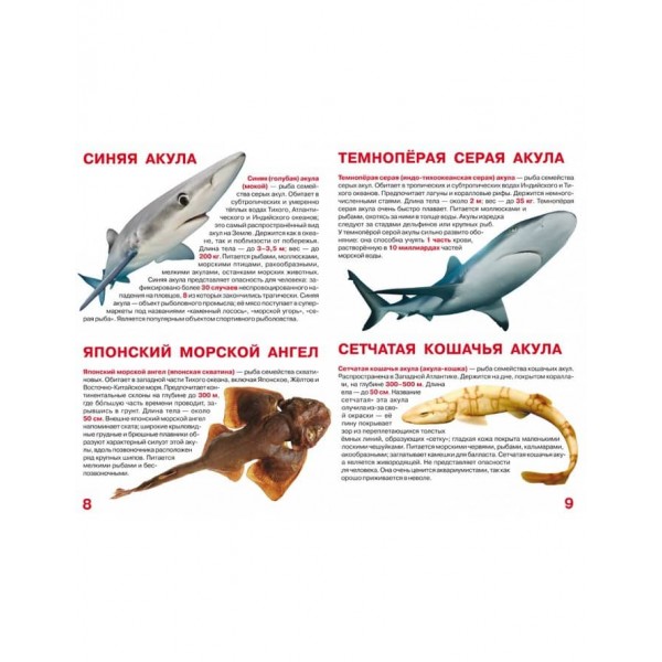 Велика книга. Акули (російською мовою)