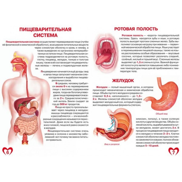Велика книга. Анатомія людини (російською мовою)