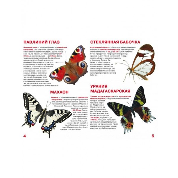 Велика книга. Метелики (російською мовою)