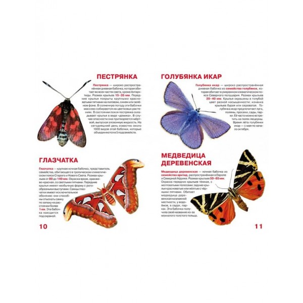 Велика книга. Метелики (російською мовою)