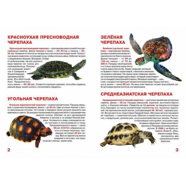 Велика книга. Черепахи (російською мовою)