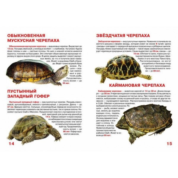 Велика книга. Черепахи (російською мовою)