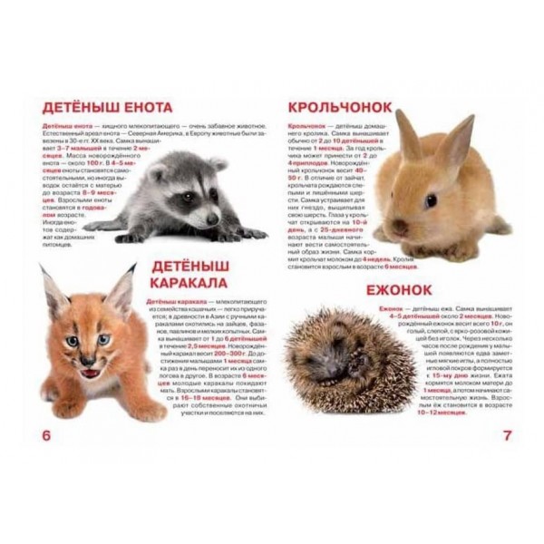 Велика книга. Дитинчата тварин (російською мовою)