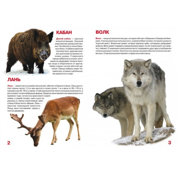 Велика книга. Дикі тварини (російською мовою)