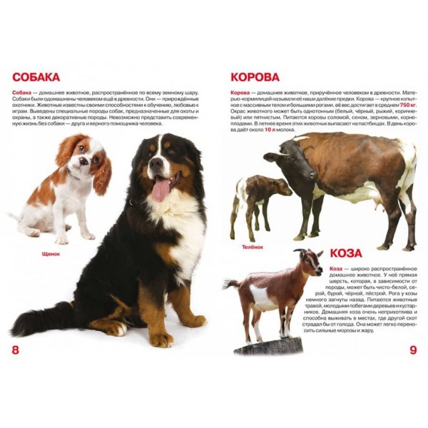 Велика книга. Домашні тварини (російською мовою)