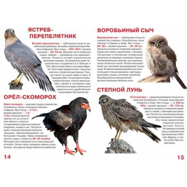 Велика книга. Хижі птахи (російською мовою)