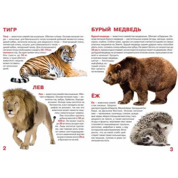 Велика книга. Хижаки (російською мовою)