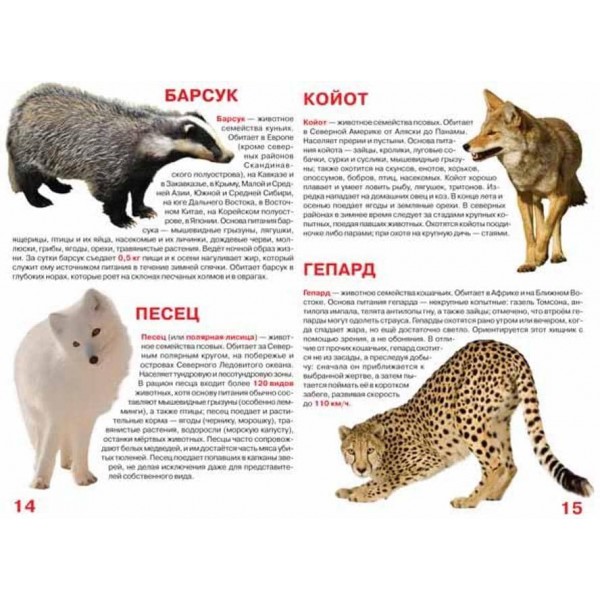 Велика книга. Хижаки (російською мовою)