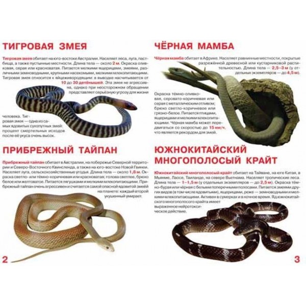 Велика книга. Отруйні змії (російською мовою)