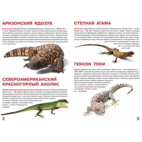 Велика книга. Ящірки (російською мовою)