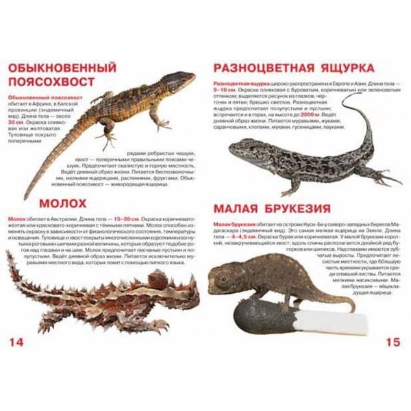 Велика книга. Ящірки (російською мовою)