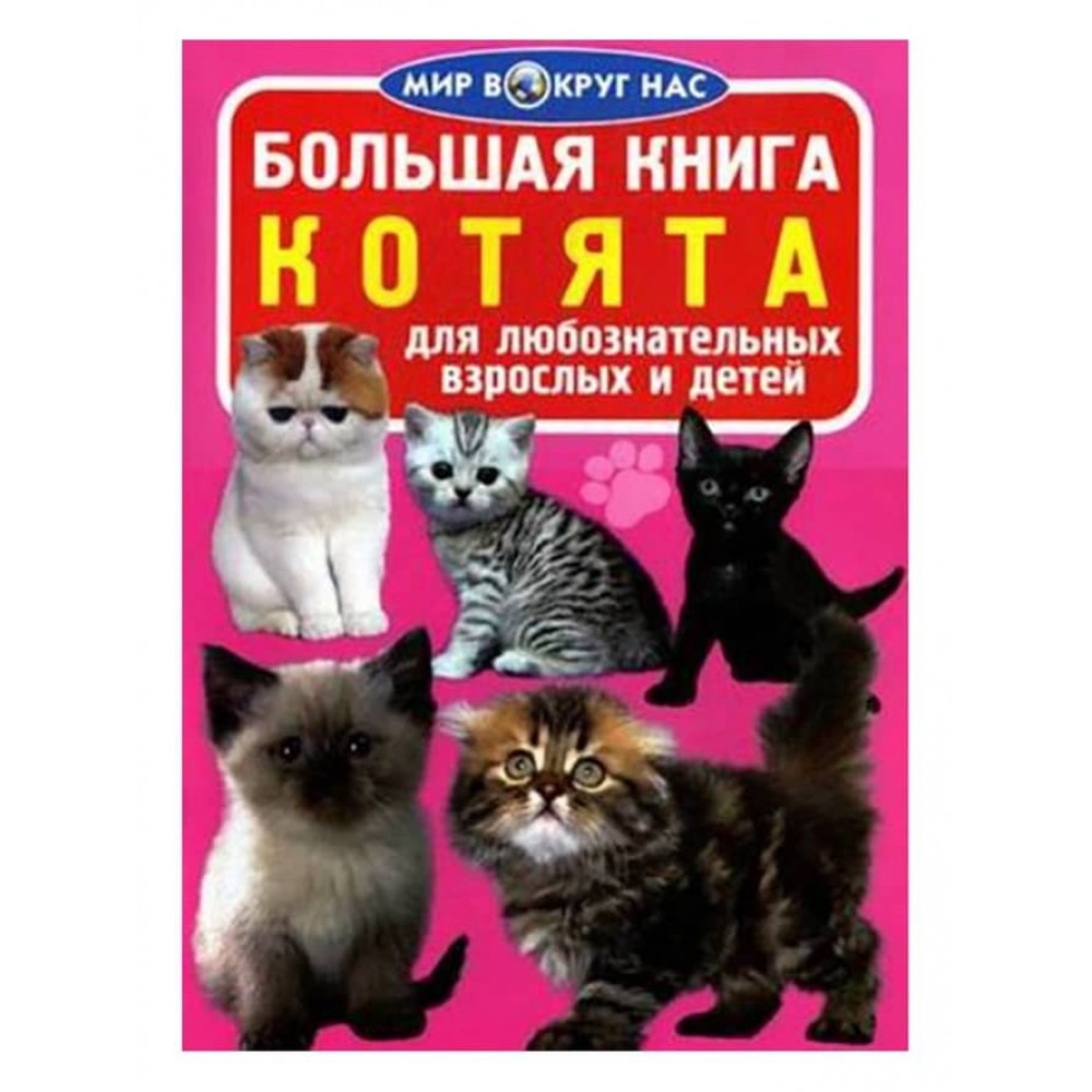 Велика книга. Кошенята (російською мовою)