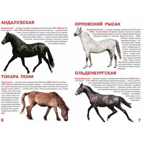 Велика книга. Коні та поні (російською мовою)