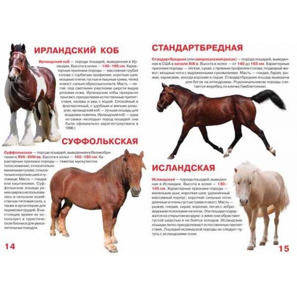 Велика книга. Коні та поні (російською мовою)