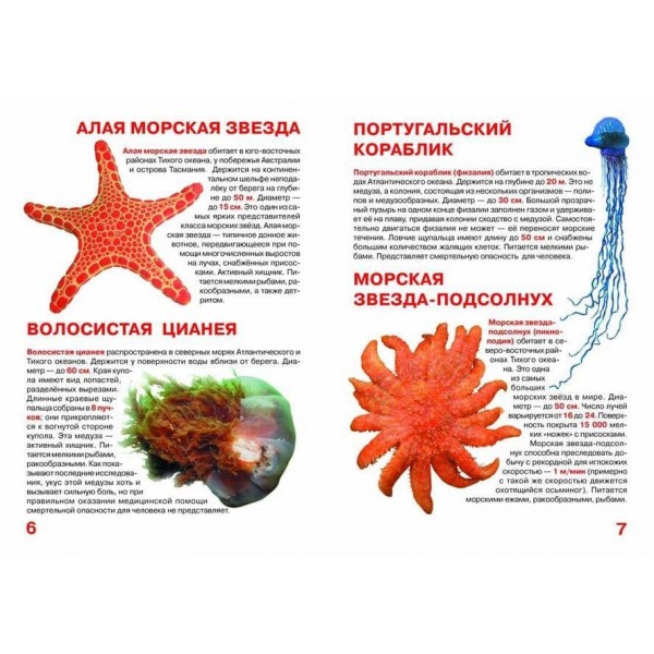 Велика книга. Медузи, морські зірки (російською мовою)
