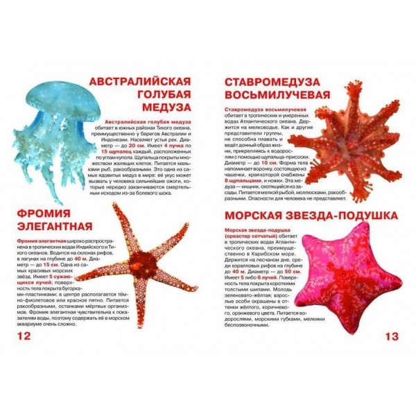 Велика книга. Медузи, морські зірки (російською мовою)