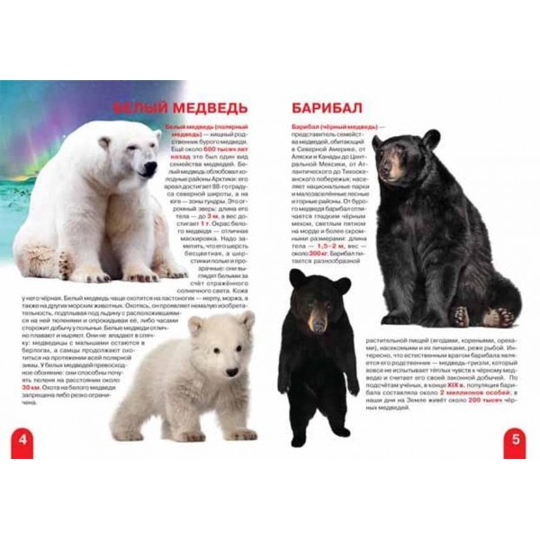 Велика книга. Ведмеді (російською мовою)