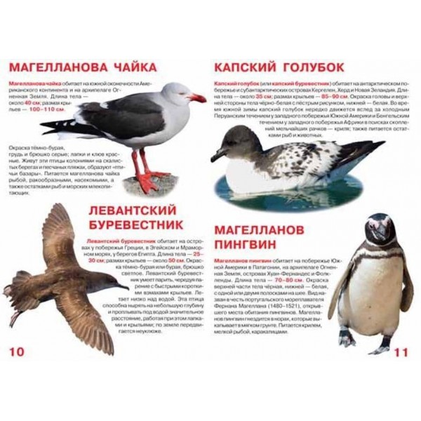 Велика книга. Морські птахи (російською мовою)