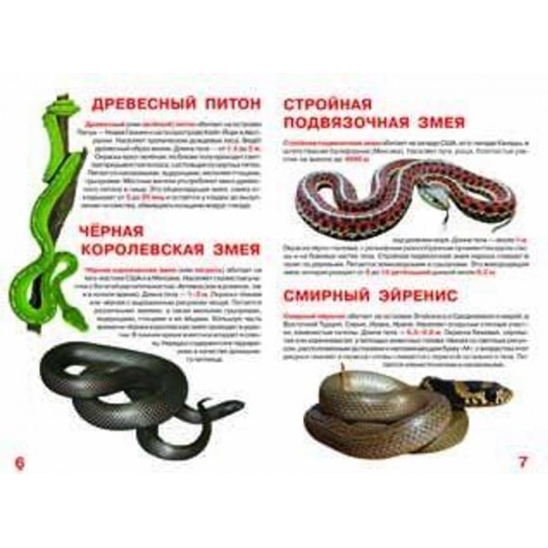 Велика книга. Неотруйні змії (російською мовою)