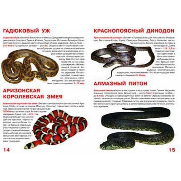 Велика книга. Неотруйні змії (російською мовою)