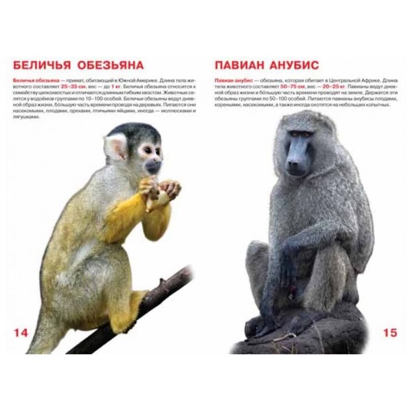 Велика книга. Мавпи (код 0335-1) (російською мовою)