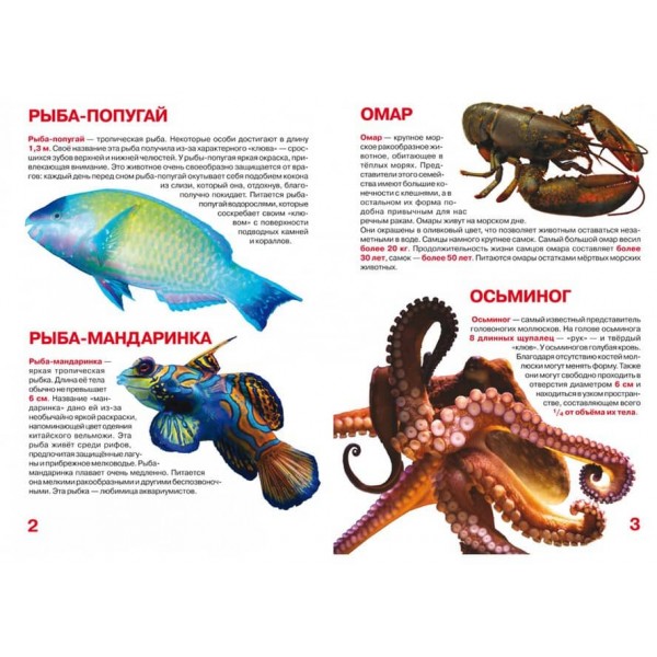 Велика книга. Мешканці морів і океанів (російською мовою)