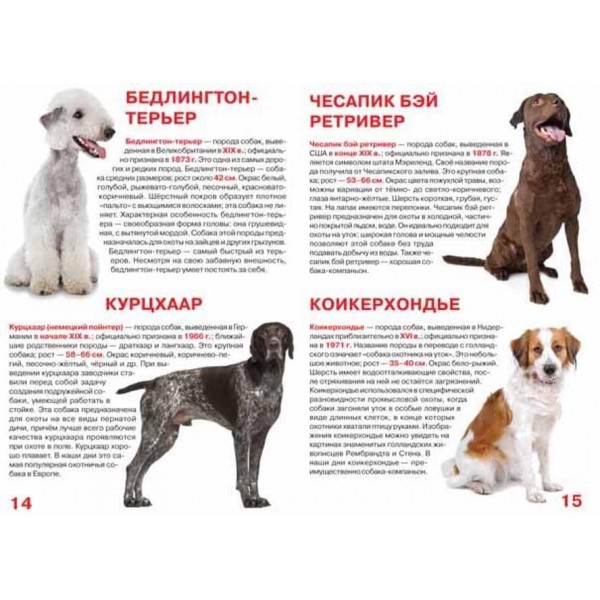 Велика книга. Мисливські собаки (російською мовою)