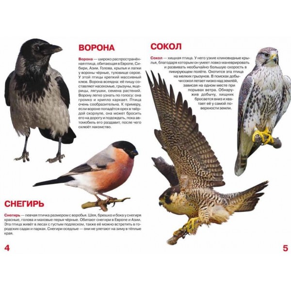 Велика книга. Птахи (російською мовою)