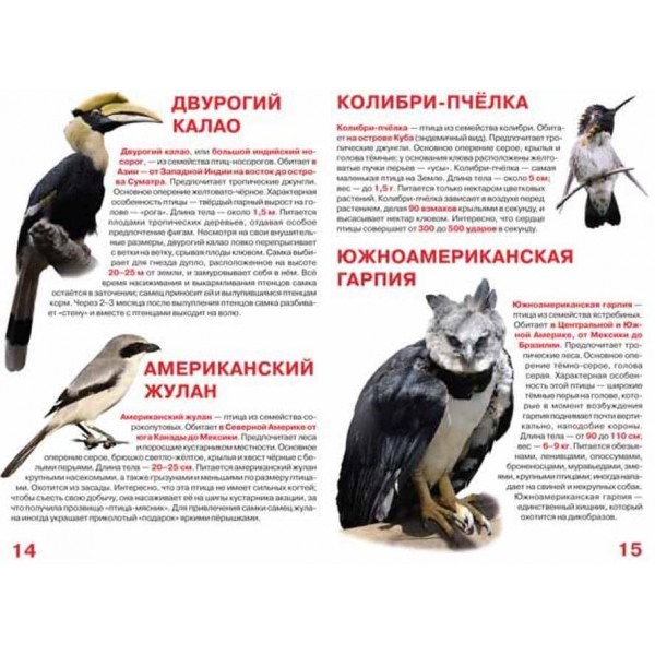 Велика книга. Рідкісні птахи (російською мовою)