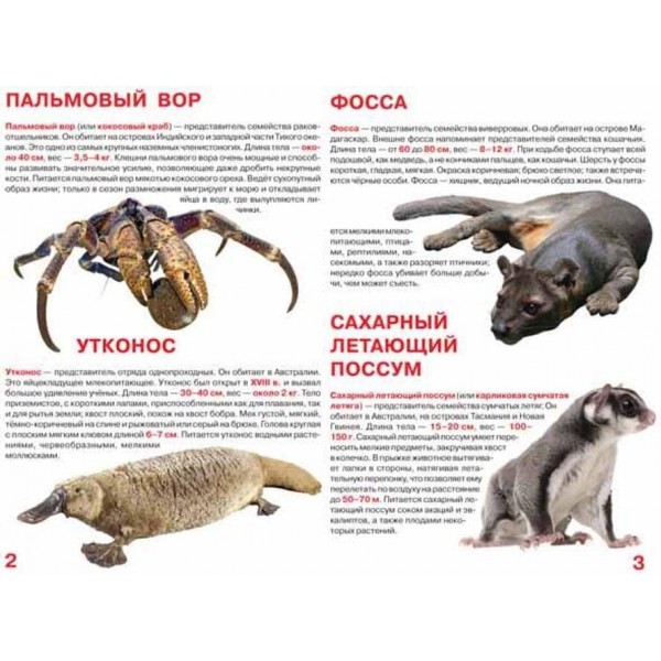 Велика книга. Рідкісні тварини (російською мовою)