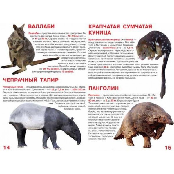 Велика книга. Рідкісні тварини (російською мовою)