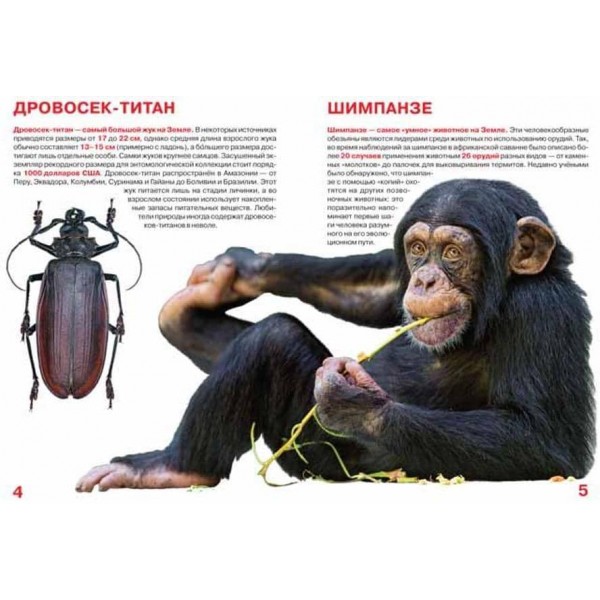 Велика книга. Рекордсмени тваринного світу (код 0376-4) (російською мовою)