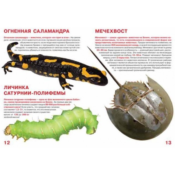 Велика книга. Рекордсмени тваринного світу (код 0376-4) (російською мовою)