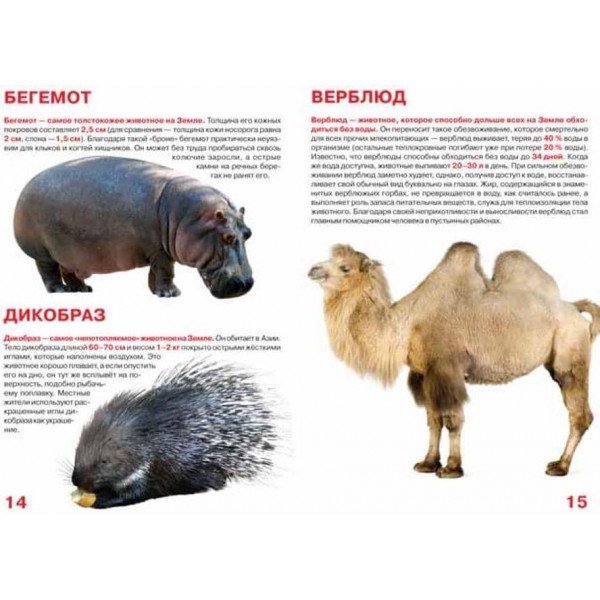 Велика книга. Рекордсмени тваринного світу (код 0377-1) (російською мовою)