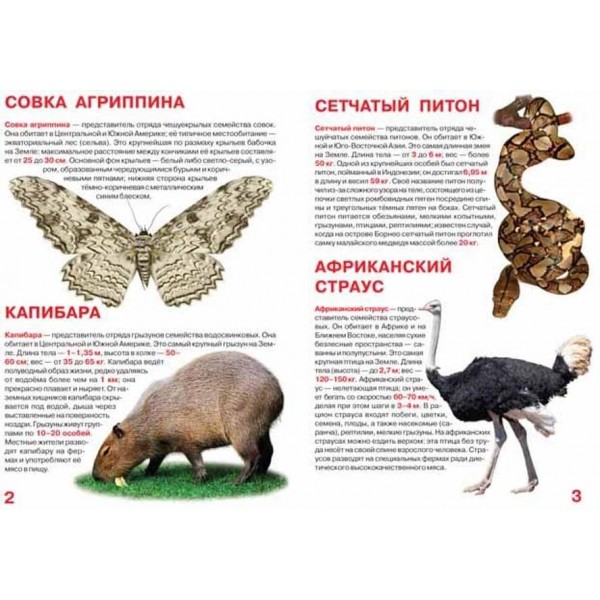 Велика книга. Найбільші тварини (російською мовою)