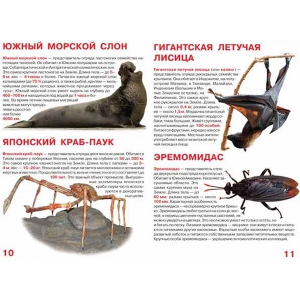 Велика книга. Найбільші тварини (російською мовою)