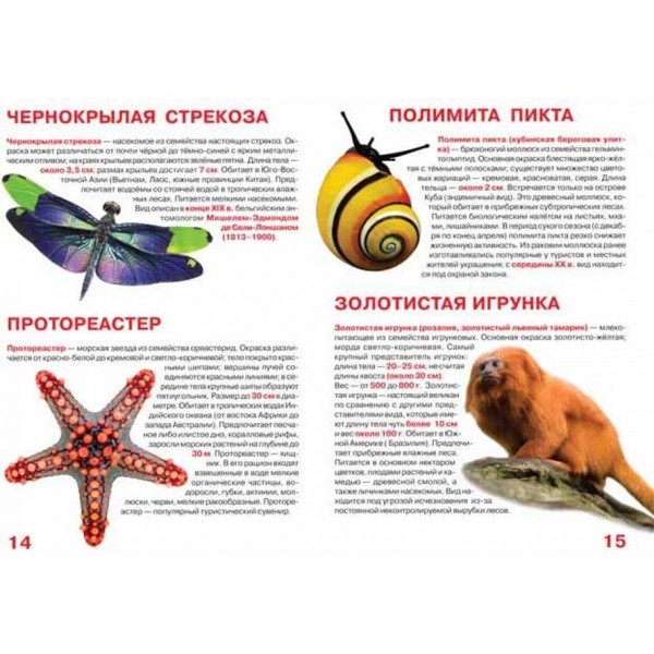 Велика книга. Найяскравіші тварини світу (російською мовою)