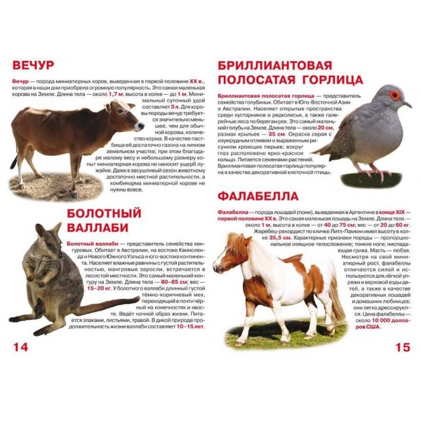 Велика книга. Найменші тварини (російською мовою)