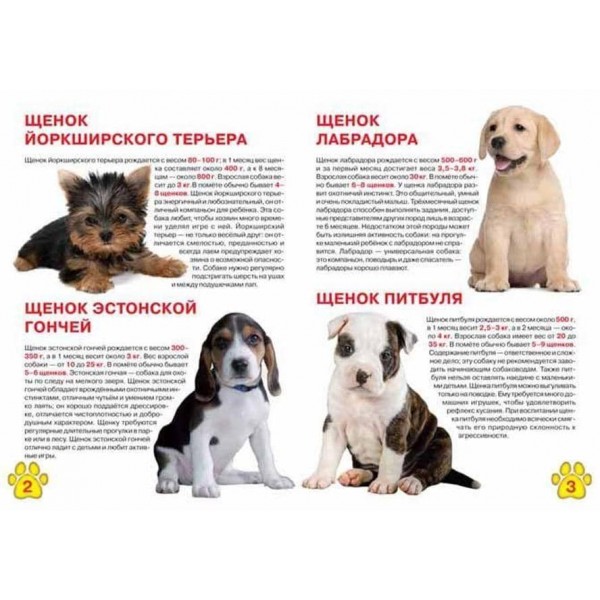 Велика книга. Цуценята (російською мовою)