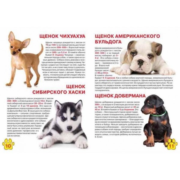 Велика книга. Цуценята (російською мовою)