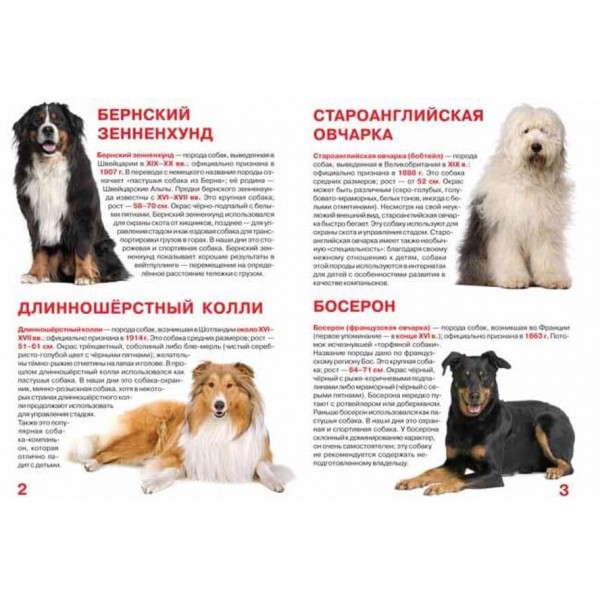 Велика книга. Службові собаки (російською мовою)