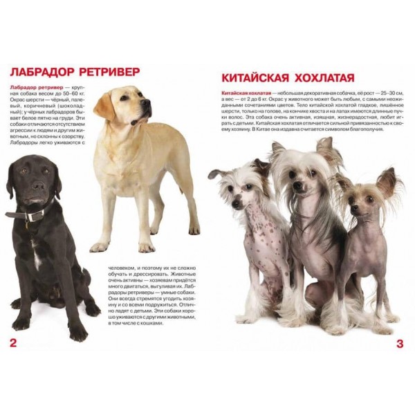 Велика книга. Собаки (код 88-0) (російською мовою)