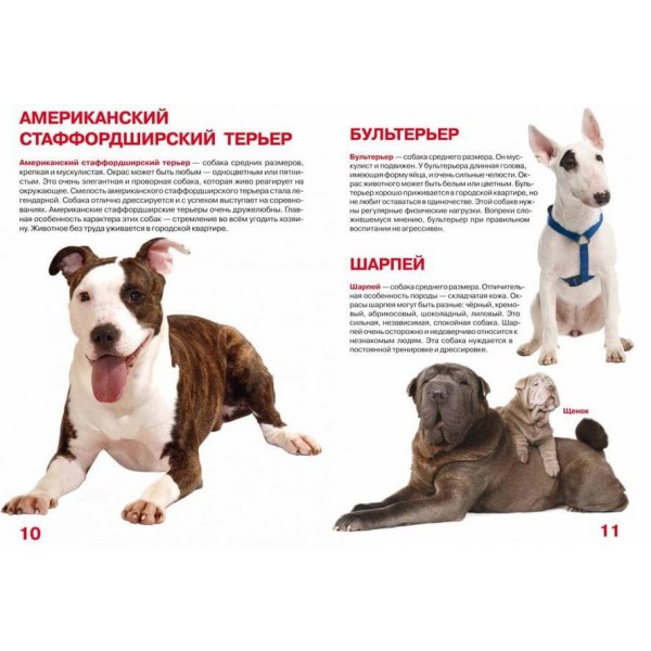 Велика книга. Собаки (код 88-0) (російською мовою)