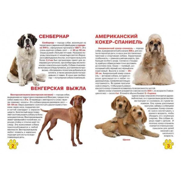 Велика книга. Собаки (код 356-5) (російською мовою)