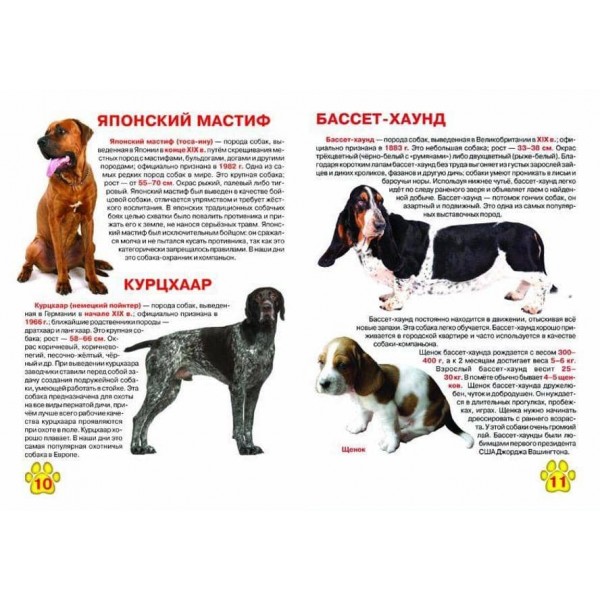Велика книга. Собаки (код 356-5) (російською мовою)